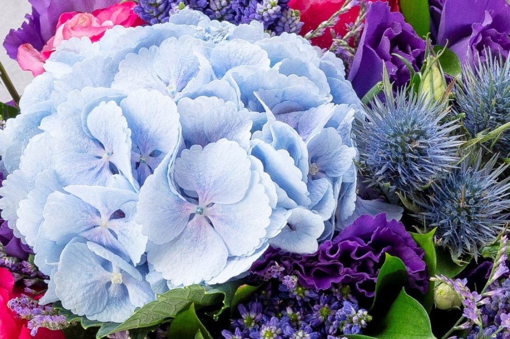 Blue - Alissar Flowers UAE