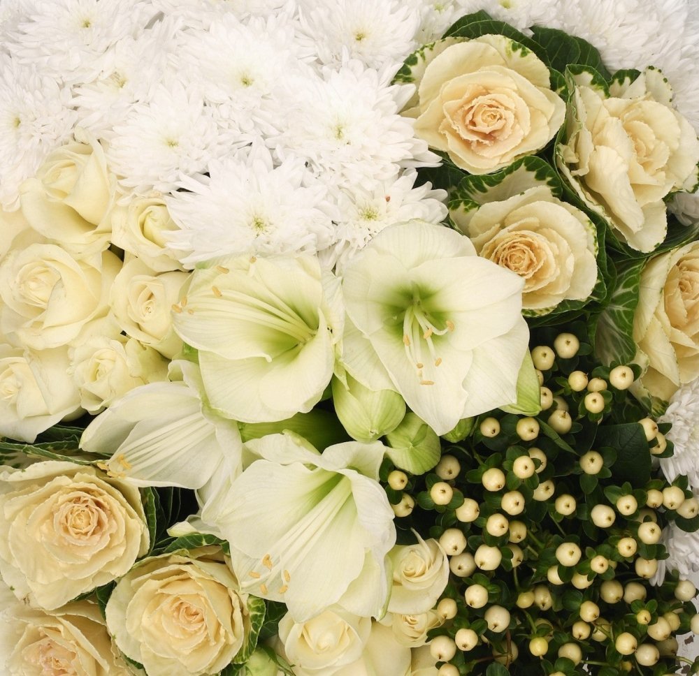 White - Alissar Flowers UAE