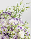 Elegantly Yours - Alissar Flowers Dubai