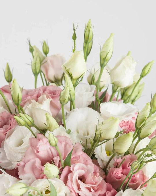 Florally Yours - Alissar Flowers Dubai