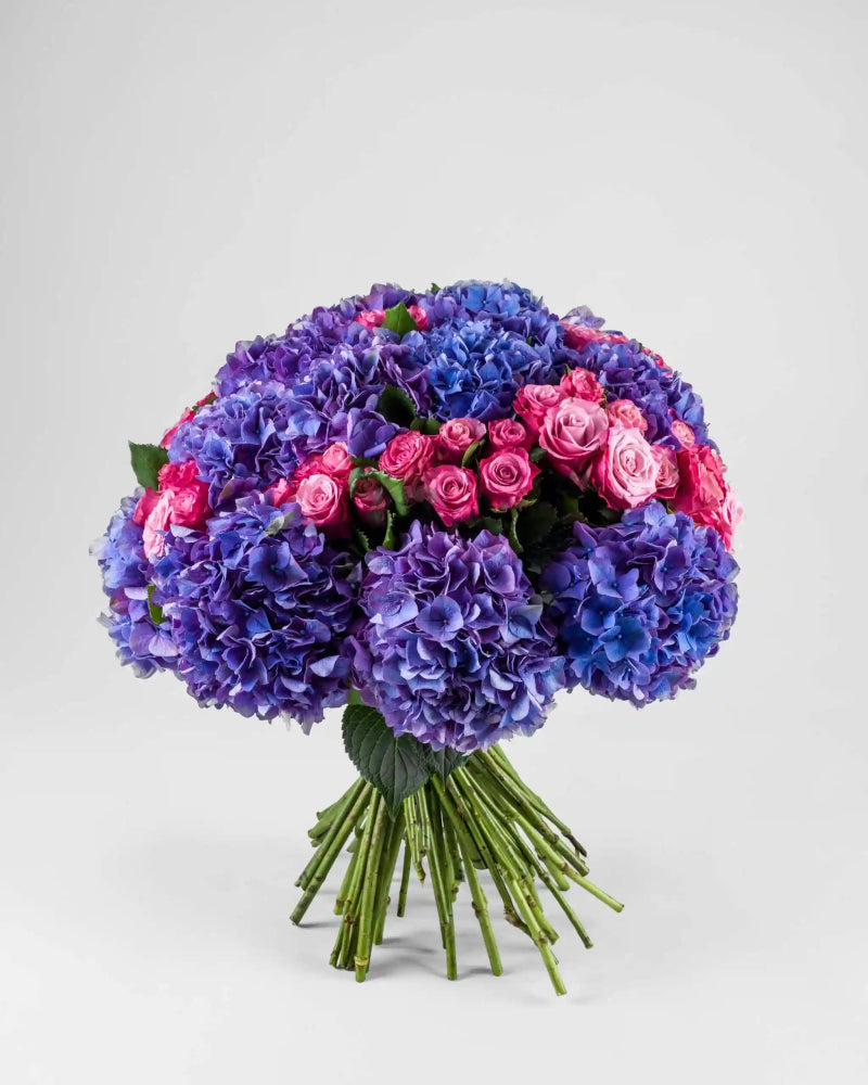 Hold Me Abloom - Alissar Flowers Dubai