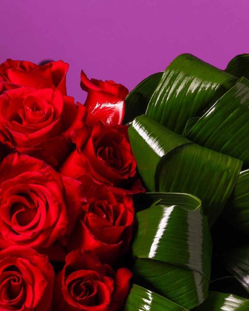 Love Unfiltered - Alissar Flowers Dubai