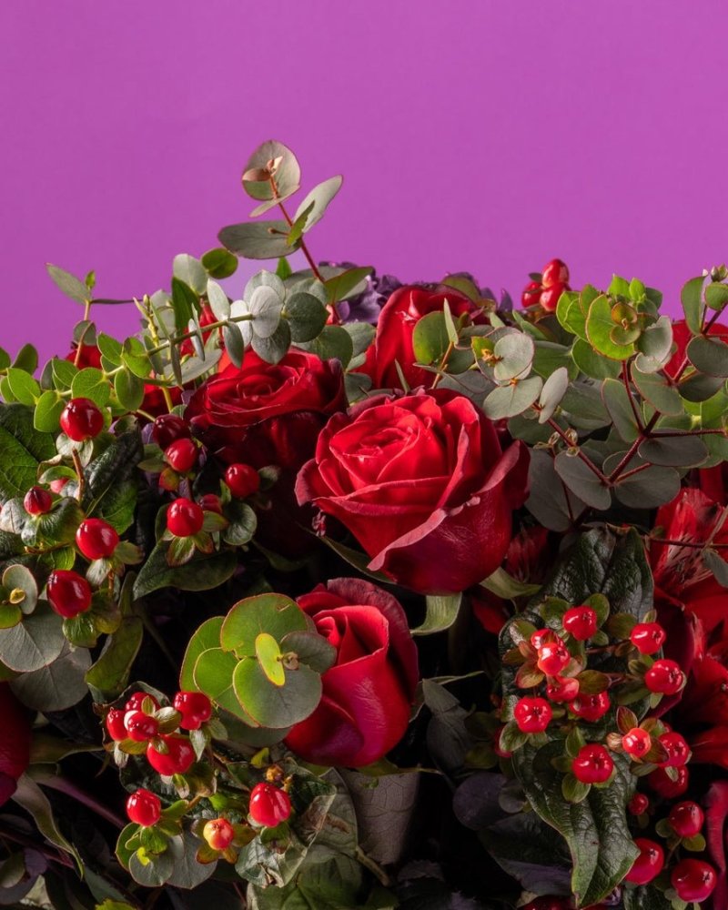 Mulberry Kiss - Alissar Flowers Dubai