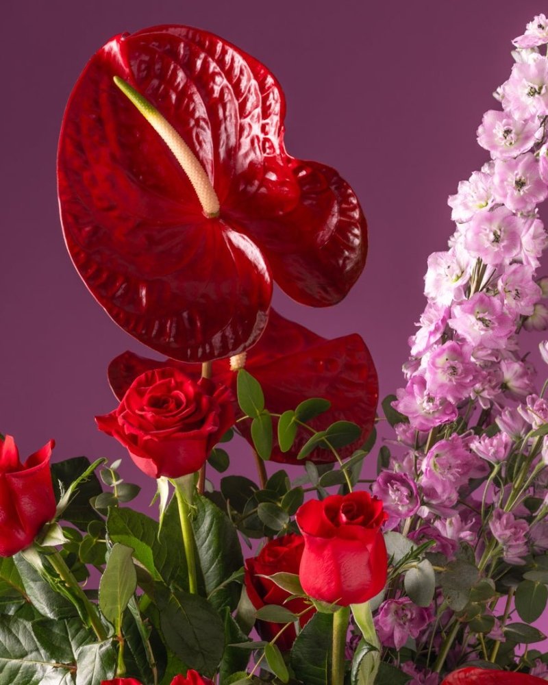 Violet Honey - Alissar Flowers Dubai