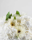 Whisked in Grace - Alissar Flowers Dubai