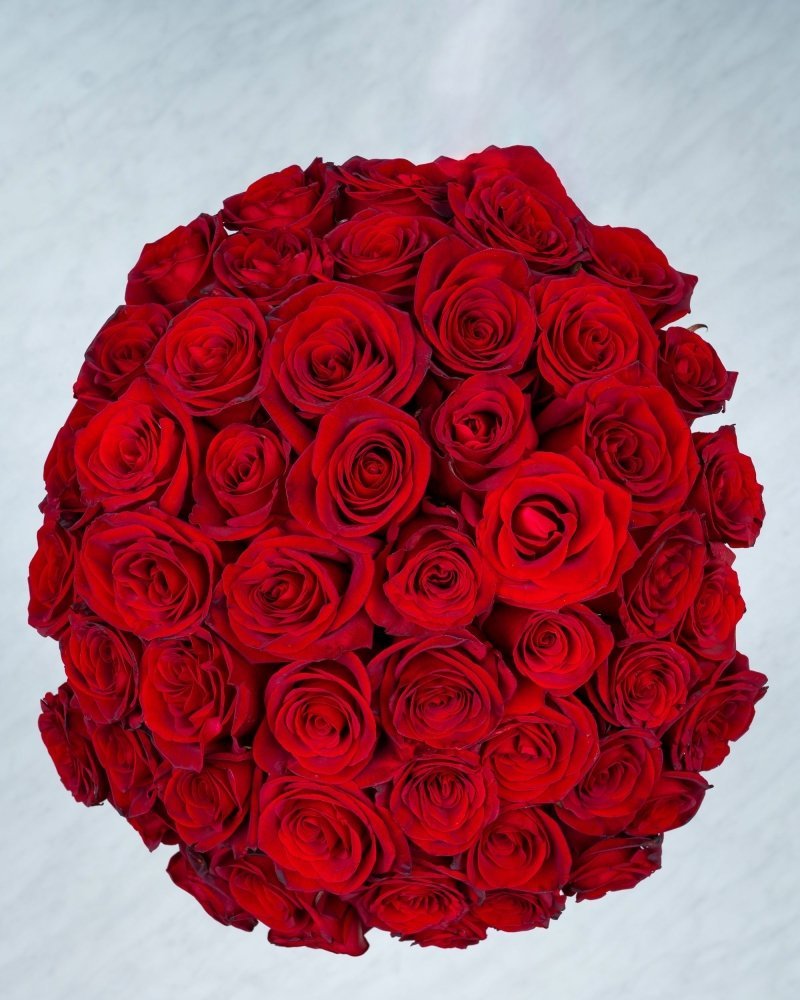 50 Red Roses - Alissar Flowers: AE