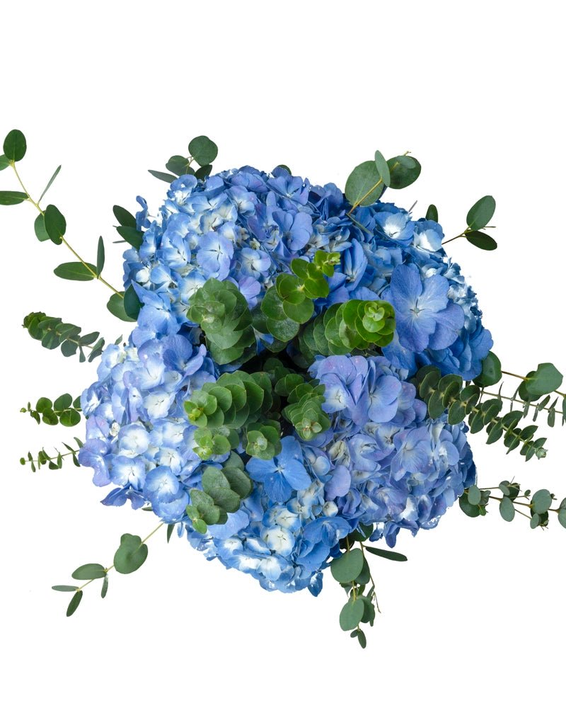 Enchanted Blue - Alissar Flowers UAE